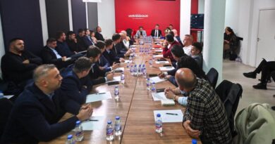 Lëvizja Vetëvendosje: Rëndësia e Zgjedhjeve të Brendshme për Forcimin e Strukturave Partiake